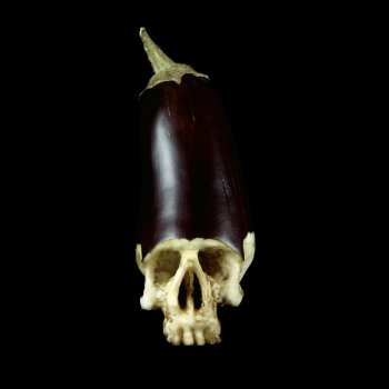 Album Denmark Vessey: Whole Food