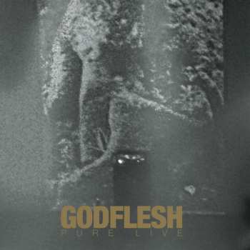 2LP Godflesh: Pure : Live LTD | CLR