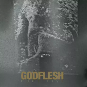 Godflesh: Pure : Live