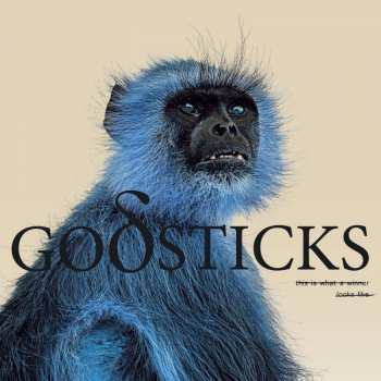 CD Godsticks: This Is What A Winner Looks Like DIGI