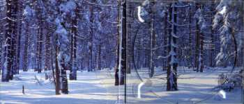 CD Goldfrapp: Felt Mountain