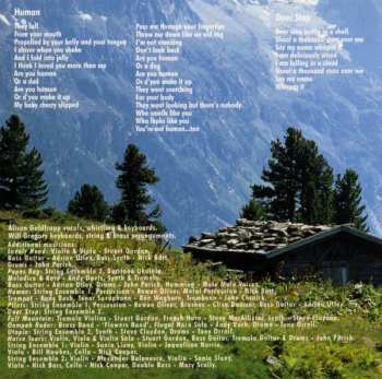 CD Goldfrapp: Felt Mountain