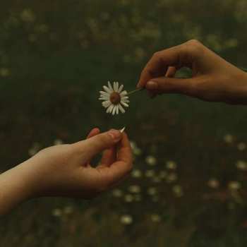 Album Goldmund: The Time It Takes
