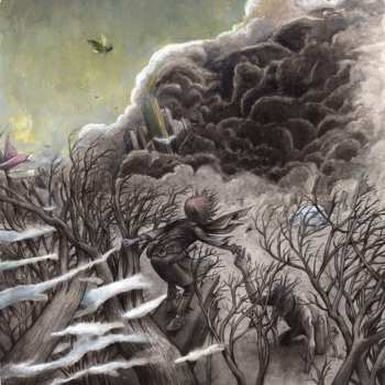 Album Great Falls: A Sense of Rest