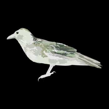 LP Green Crow Collective: Hard Drive Error