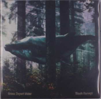 LP Green Desert Water: Black Harvest CLR | LTD
