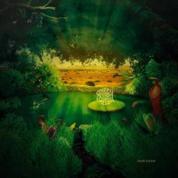 CD Green Desert Water: Solar Plexus