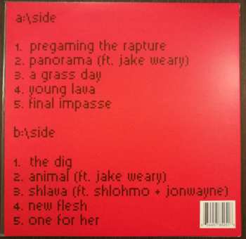 LP Groundislava: Groundislava LTD | CLR