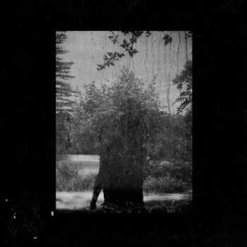 CD Grouper: Ruins