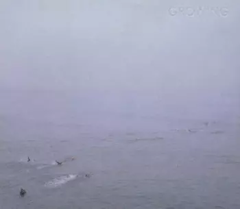 The Sky's Run Into The Sea