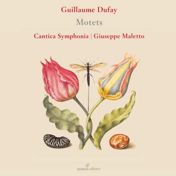 Album Guillaume Dufay: Motetten