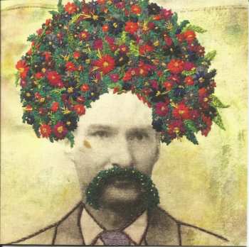 CD Guster: Look Alive