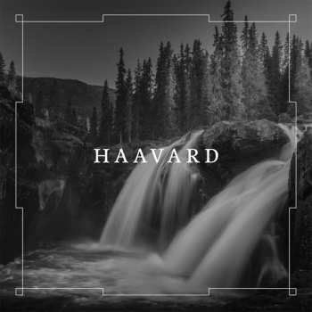 2CD Håvard Jørgensen: Haavard DLX
