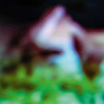 LP Hair & Treasure: Disc Rot