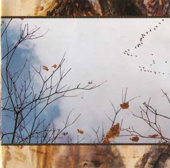 CD Häive: Mieli Maassa