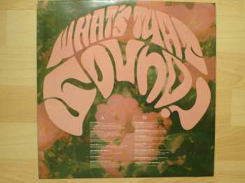 LP Haley Reinhart: What's That Sound?