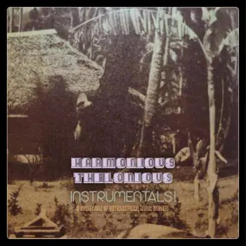 Instrumentals – A Collection Of Outernational Music Studies