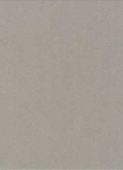 CD Haruka Nakamura: 青い森 IV -蔦屋書店の音楽-