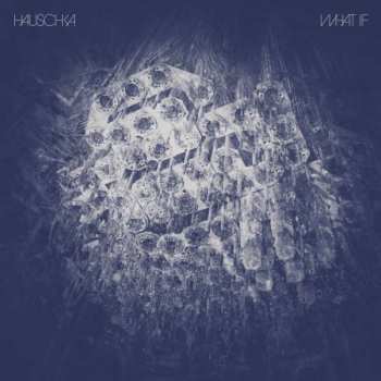 CD Hauschka: What If DIGI