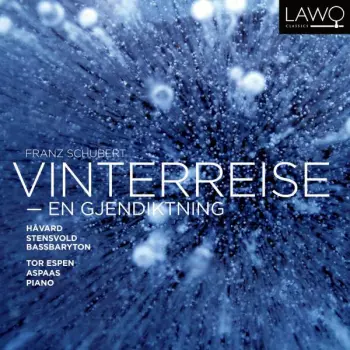 Vinterreise - En Gjendiktning