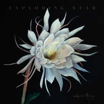 Album Heather Maloney: Exploding Star
