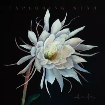 Exploding Star
