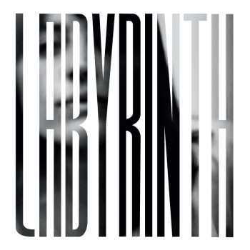 LP Heather Woods Broderick: Labyrinth