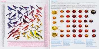 CD Hedley: Wild Life