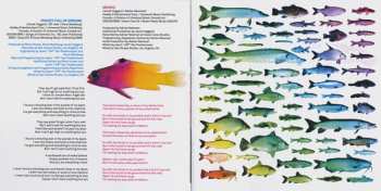 CD Hedley: Wild Life