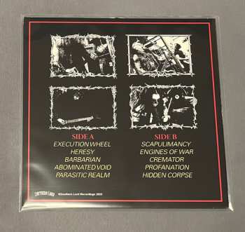 LP Hedonist: Scapulimancy CLR | LTD