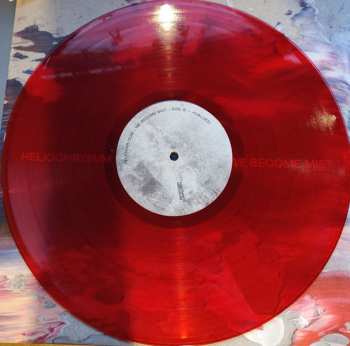 LP Heliochrysum: We Become Mist