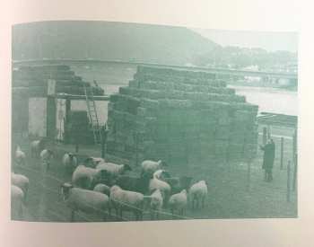 LP Henning Christiansen: Schafe Statt Geigen / "Verena" Vogelzymphon LTD