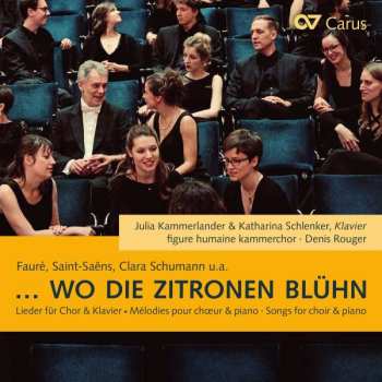 CD Julia Kammerlander: Wo Die Zitronen Blühn
