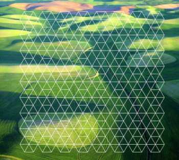 Album Henry Plotnick: Fields