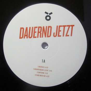 2LP Herbert Grönemeyer: Dauernd Jetzt