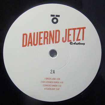 2LP Herbert Grönemeyer: Dauernd Jetzt