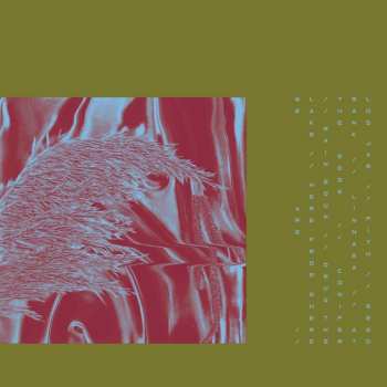 Album Pariah: Here From Where We Are