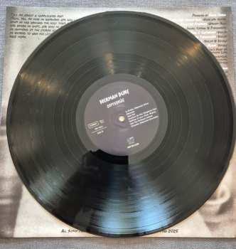 LP Herman Düne: Odysseús