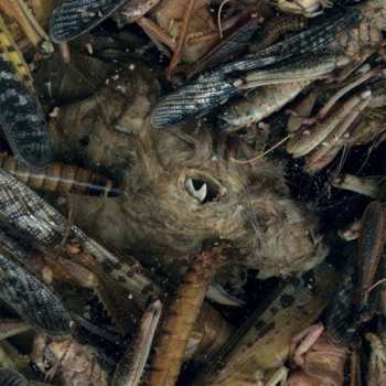 LP Hessian: Mànégarmr