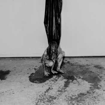 LP HIDE: Interior Terror LTD