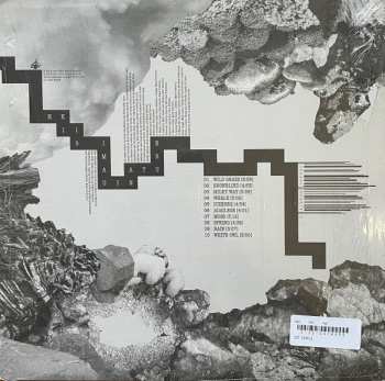 LP HK119: Imaginature