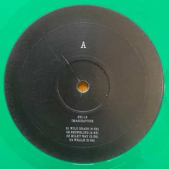 LP HK119: Imaginature
