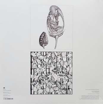 2LP Hodge: Shadows In Blue CLR | LTD