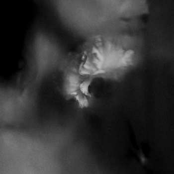 CD Holding Absence: Holding Absence