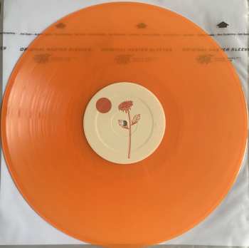 LP Honey Cutt: Coasting LTD | CLR