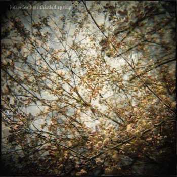 LP Horse Feathers: Thistled Spring