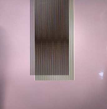 2LP Hot Chip: Why Make Sense? DLX | LTD