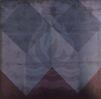 LP Hot Water Music: Feel The Void LTD | CLR