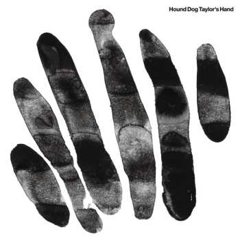 LP Hound Dog Taylor's Hand: Hound Dog Taylor's Hand