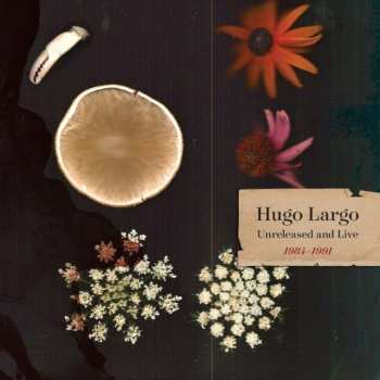 2CD Hugo Largo: Huge, Large And Electric: